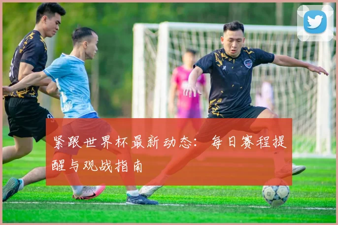 紧跟世界杯最新动态：每日赛程提醒与观战指南