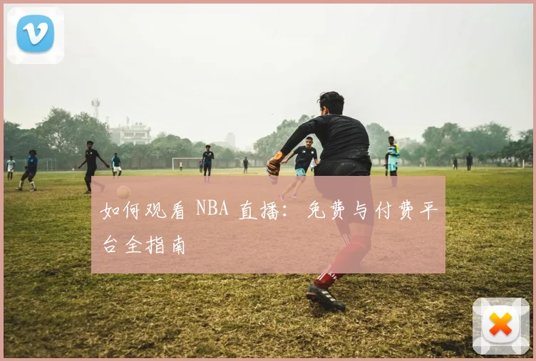 如何观看 NBA 直播：免费与付费平台全指南